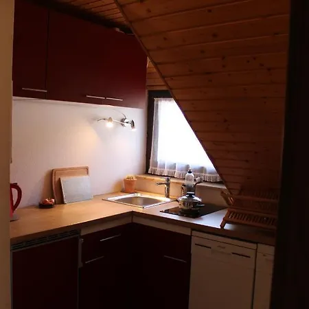Ferienwohnung Auf 1233m Am Feldberg Nur 20m Zur Skilift/-piste, Wanderwegen Und Bus *