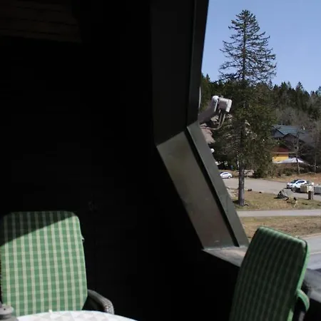 Ferienwohnung Auf 1233m Am Feldberg Nur 20m Zur Skilift/-piste, Wanderwegen Und Bus *