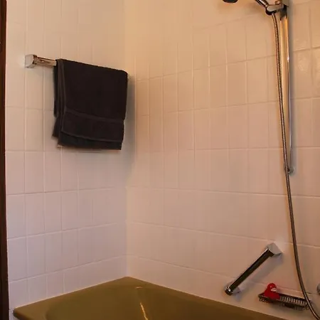 Ferienwohnung Auf 1233m Am Feldberg Nur 20m Zur Skilift/-piste, Wanderwegen Und Bus * Feldberg (Baden-Wurttemberg)